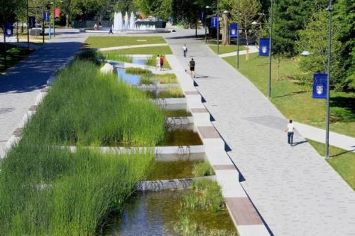 我公司中標大英縣小溪河景觀改造項目、魁山公園改造項目安全評價服務